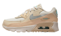 "PHANTOM/SHIMMER/PEARL WHITE/METALLIC SILVER" Air Max 90 LTR PS DZ5319 001 - product image from the listing.