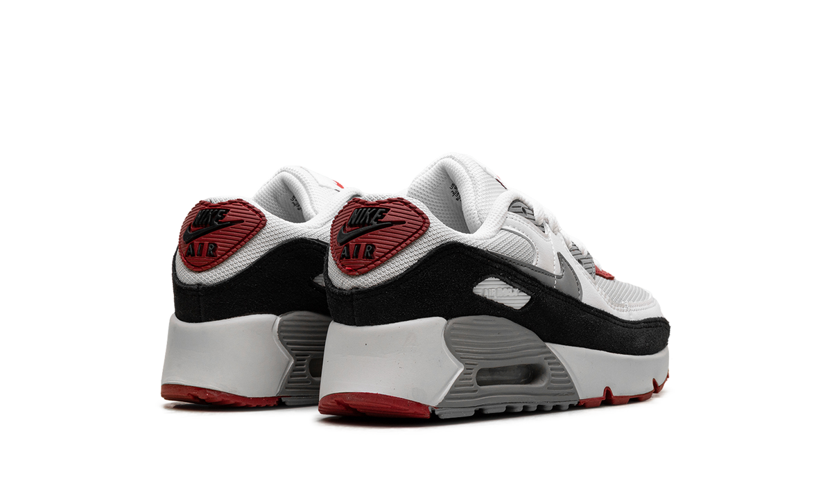 "Photon Dust Grey" Air Max 90 PS CD6867 019 - product image from the listing.