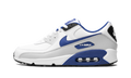 "White/Game Royal" Air Max 90 FN6843 100 - product image from the listing.