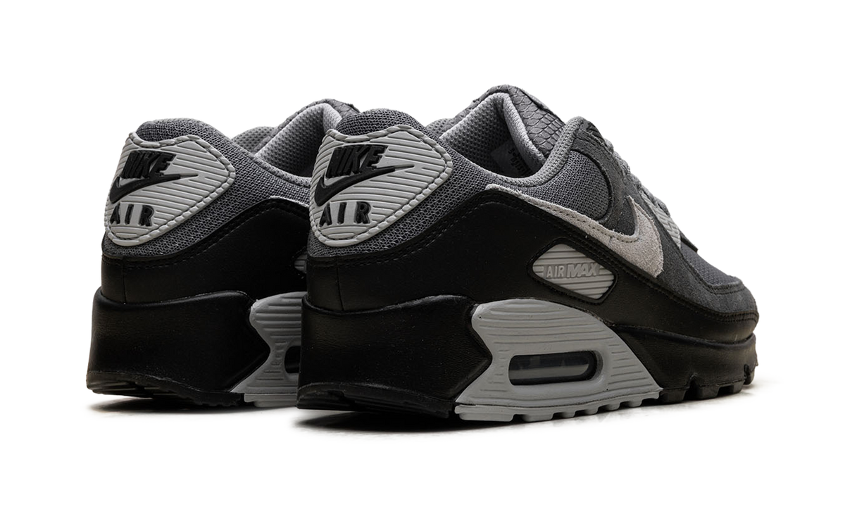 "Smoke Grey / Black" Air Max 90 DM0029 020 - product image from the listing.