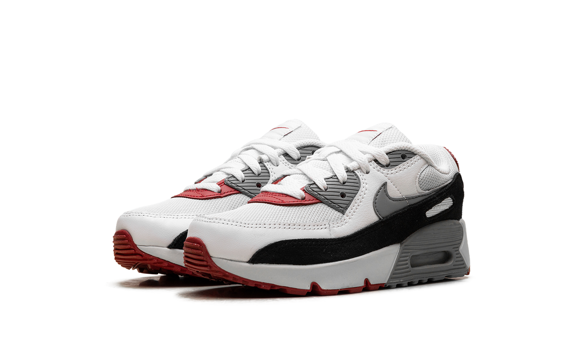 "Photon Dust Grey" Air Max 90 PS CD6867 019 - product image from the listing.