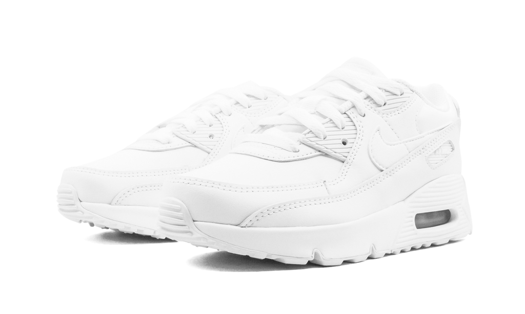 CD6867 100 - Air Max 90 - product photo shown in the listing for this item.