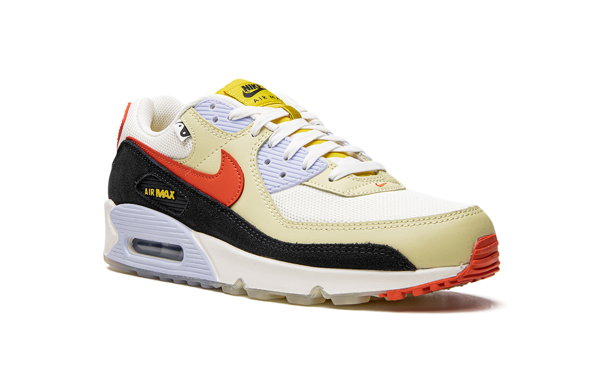 "Set To Rise" Air Max 90 DV2116 700 - product image from the listing.