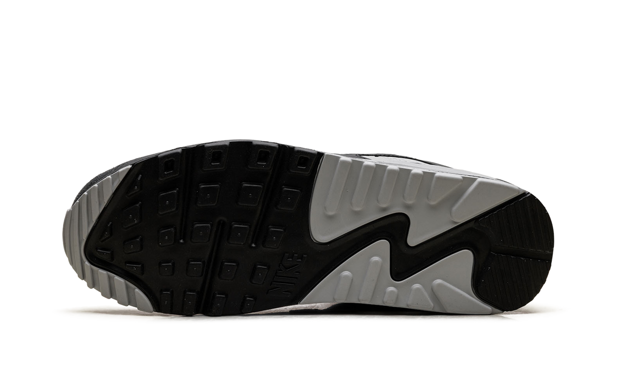 "Smoke Grey / Black" Air Max 90 DM0029 020 - product image from the listing.