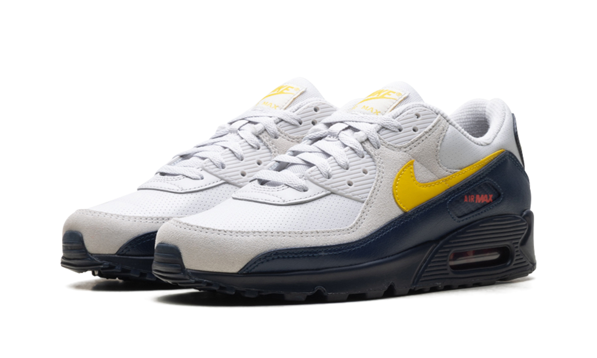"Neutral Grey Tour Yellow" Air Max 90 IF0670 001 - product image from the listing.