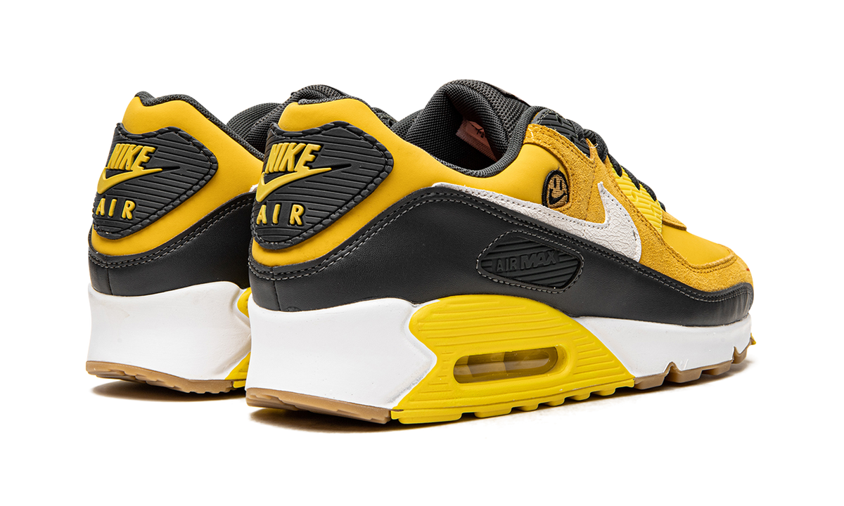 "Go The Extra Smile" Air Max 90 DO5848 700 - product image from the listing.