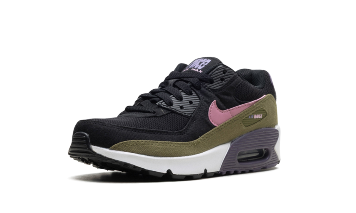 "Purple" AIR MAX 90 DX3091-001 - product image from the listing.