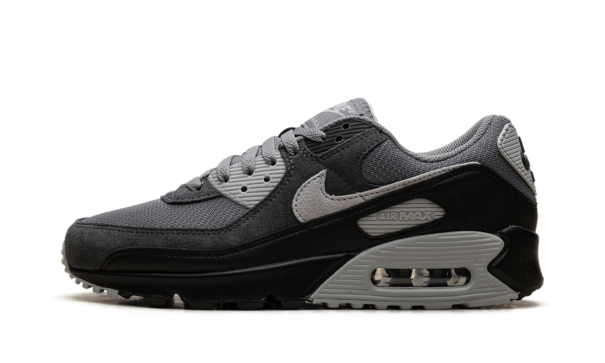 "Smoke Grey / Black" Air Max 90 DM0029 020 - product image from the listing.